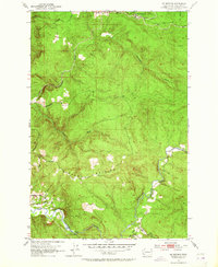 Mt. Brynion topographic map thumbnail