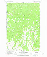 Naneum Canyon 1966 topographic map thumbnail
