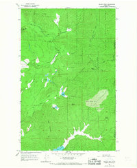Nelson Peak 1965 topographic map preview