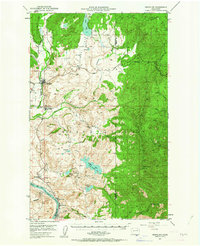 Nespelem 1950 topographic map preview