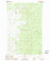 Nespelem NE 1989 topographic map thumbnail