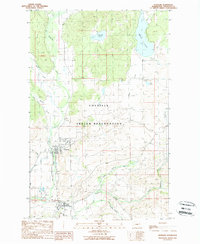 Nespelem 1989 topographic map preview