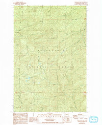 Newaukum Lake 1987 topographic map thumbnail