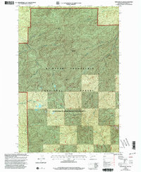 Newaukum Lake 1998 topographic map thumbnail