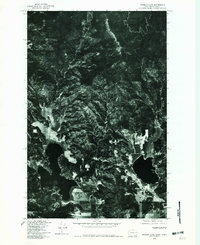 Newman Lake 1978 topographic map thumbnail
