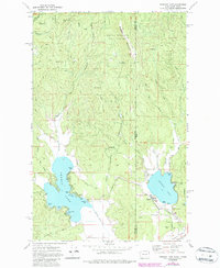 Newman Lake 1973 topographic map thumbnail