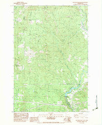Northwestern Lake 1983 topographic map thumbnail