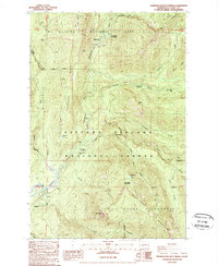 Ohanapecosh Hot Springs 1989 topographic map thumbnail