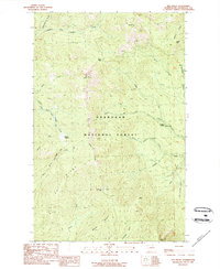 Old Baldy 1989 topographic map thumbnail