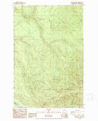 Old Baldy Mtn. topographic map thumbnail