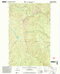 Old Baldy 2001 topographic map thumbnail