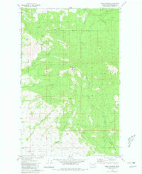 Omak Mountain 1980 topographic map thumbnail