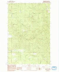 Onalaska NW 1985 topographic map thumbnail