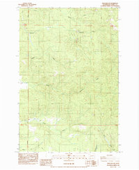 Onalaska NW 1985 topographic map thumbnail
