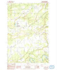 Onalaska 1984 topographic map thumbnail