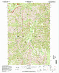 Oregon Butte 1995 topographic map thumbnail