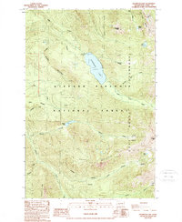 Packwood Lake 1989 topographic map preview
