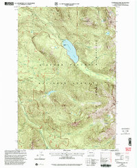 Packwood Lake 1998 topographic map thumbnail