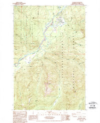 Packwood 1989 topographic map thumbnail