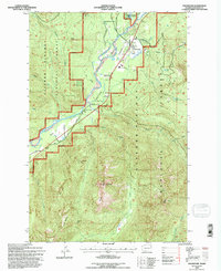 Packwood 1994 topographic map thumbnail