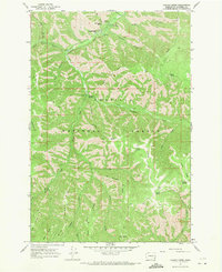 Panjab Creek 1967 topographic map thumbnail