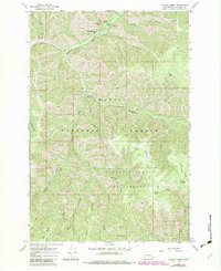 Panjab Creek 1967 topographic map thumbnail