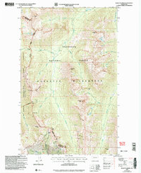 Pasayten Peak 2002 topographic map thumbnail