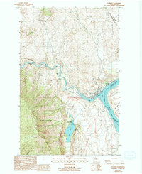 Pateros 1989 topographic map preview