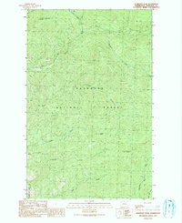 Pearrygin Peak 1991 topographic map thumbnail