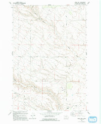 Phinny Hill 1993 topographic map thumbnail