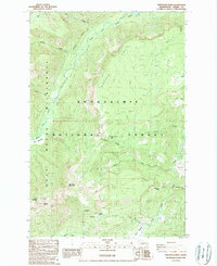 Pinegrass Ridge 1988 topographic map thumbnail