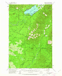 Quinault Lake 1955 topographic map thumbnail