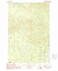Railroad Camp 1990 topographic map thumbnail