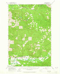 Randle 1962 topographic map preview