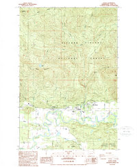 Randle 1989 topographic map preview