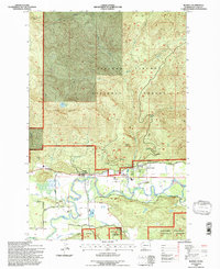 Randle 1994 topographic map thumbnail