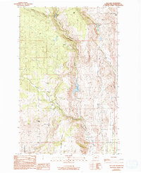 Rat Lake 1989 topographic map thumbnail