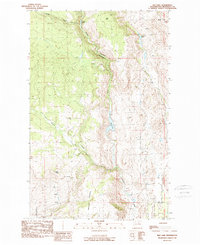 Rat Lake 1989 topographic map preview