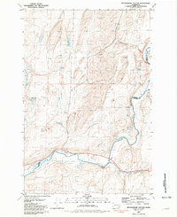 Rattlesnake Canyon 1981 topographic map thumbnail