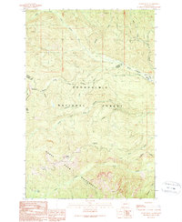Raven Roost 1989 topographic map thumbnail