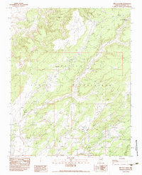 Red Clay Wash 1983 topographic map thumbnail