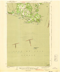 Richardson 1943 topographic map thumbnail