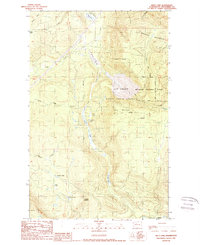 Riley Lake 1989 topographic map thumbnail