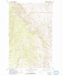 Ruby Hill 1980 topographic map thumbnail