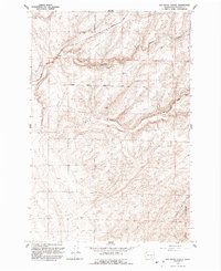 Rye Grass Coulee 1991 topographic map thumbnail