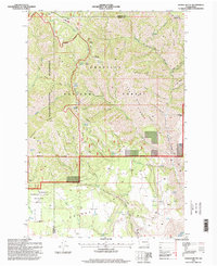 Saddle Butte 1995 topographic map thumbnail