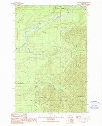 Salmon River East 1990 topographic map thumbnail