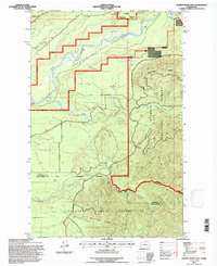 Salmon River East 1995 topographic map thumbnail