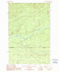 Salmon River West 1990 topographic map thumbnail