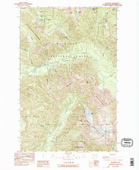 Silverton 1989 topographic map thumbnail